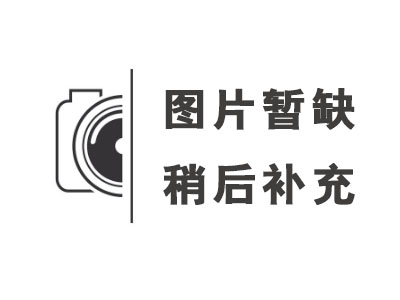 資料正在整理中...